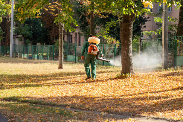 Best Pest Removal Services  in USA